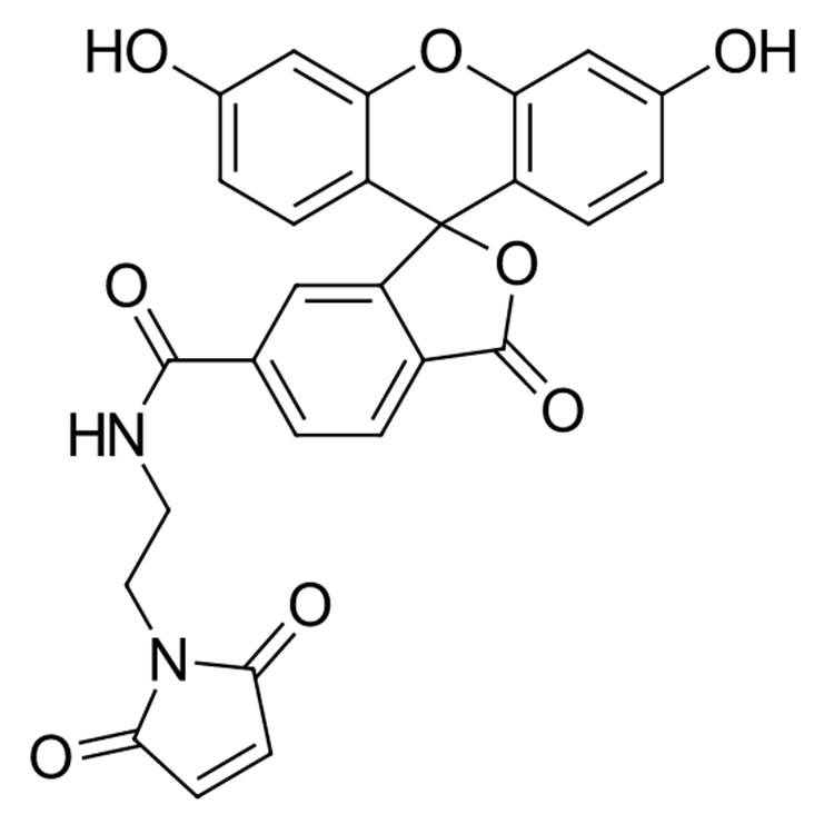FAM Maleimide,6-isomer，6-FAM-Mal